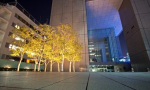 commercial building at night