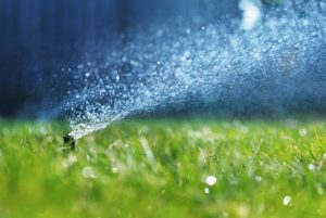 sprinkler-spraying-water-on-lawn